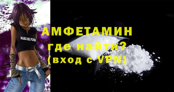 мдпв Ельня
