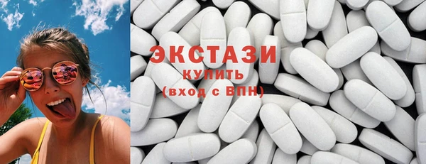 мдпв Ельня