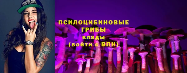 мдпв Ельня