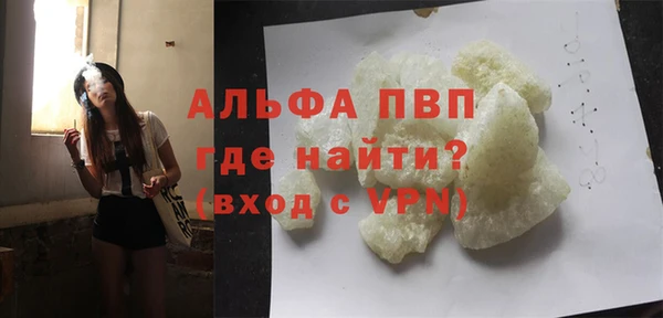 мдпв Ельня
