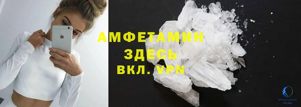 мдпв Ельня