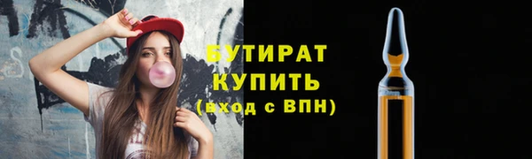мдпв Ельня