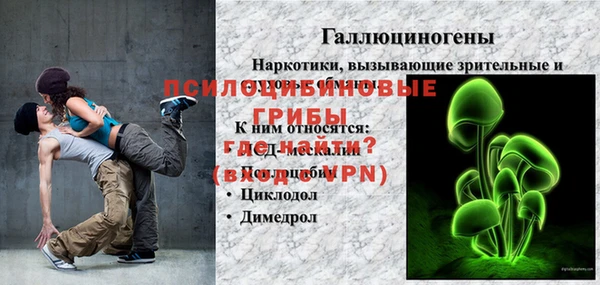мдпв Ельня