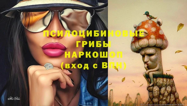 мдпв Ельня