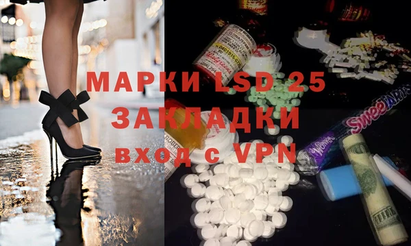 мдпв Ельня