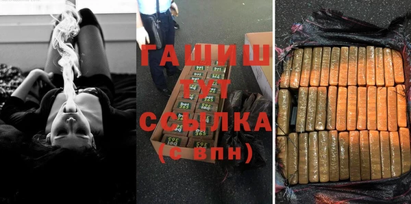 мдпв Ельня