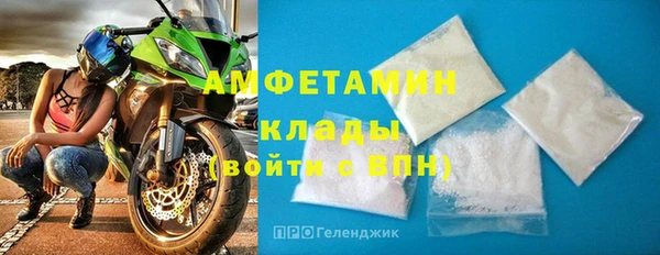 мдпв Ельня