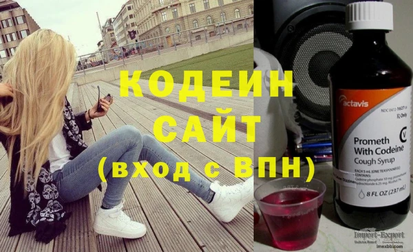 мдпв Ельня