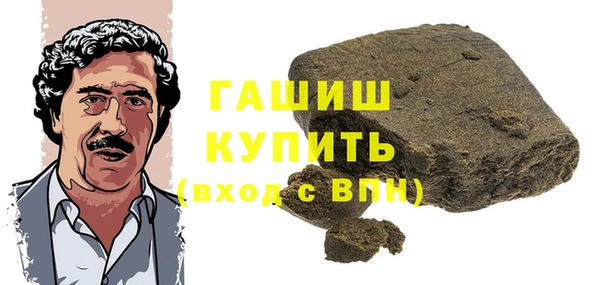 мдпв Ельня
