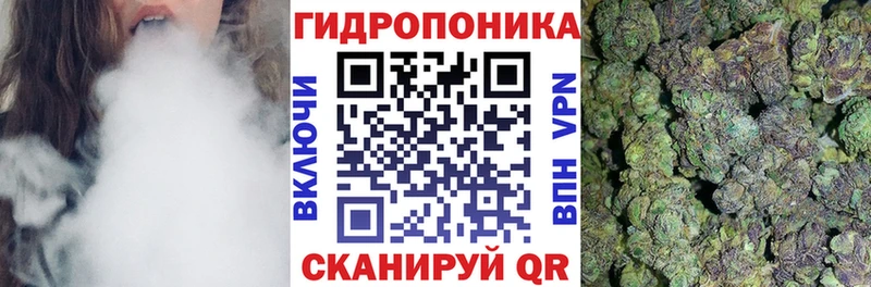 mega ссылка  Зверево  Каннабис семена 